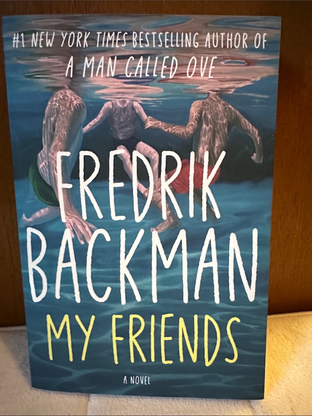 🐸2/$10🐸My friends by Frederick Backman